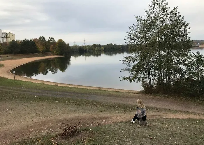 Friedrich 1201 Apartmán Mainaschaff